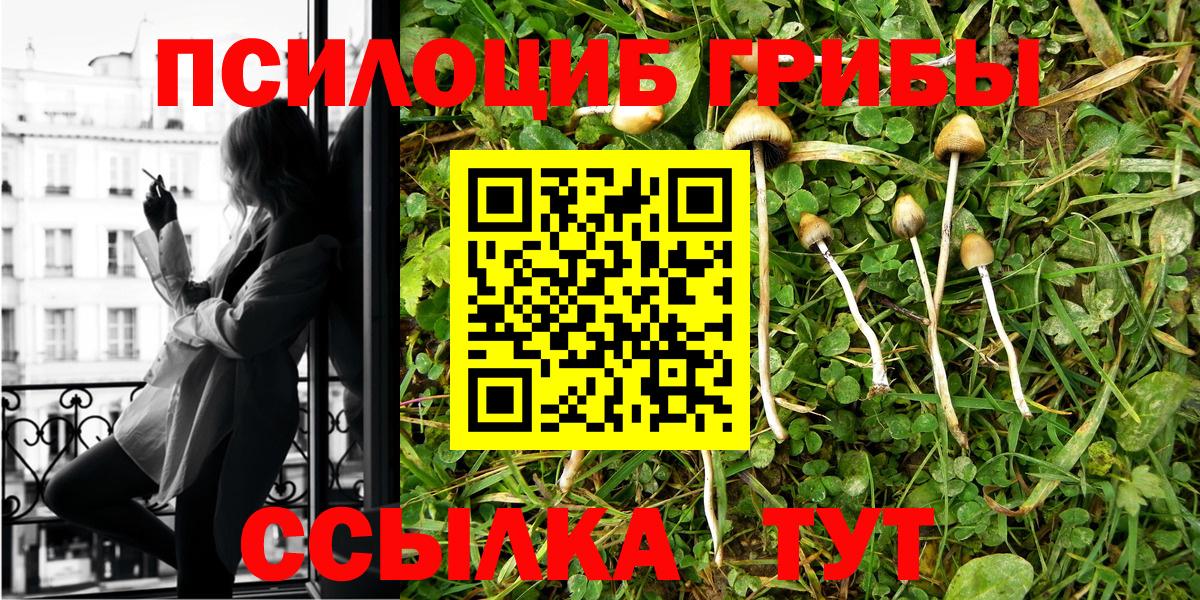 Псилоцибиновые грибы Psilocybe  Галлюциногенные грибы мицелий  Тюмень  купить наркоту  Вход с VPN 